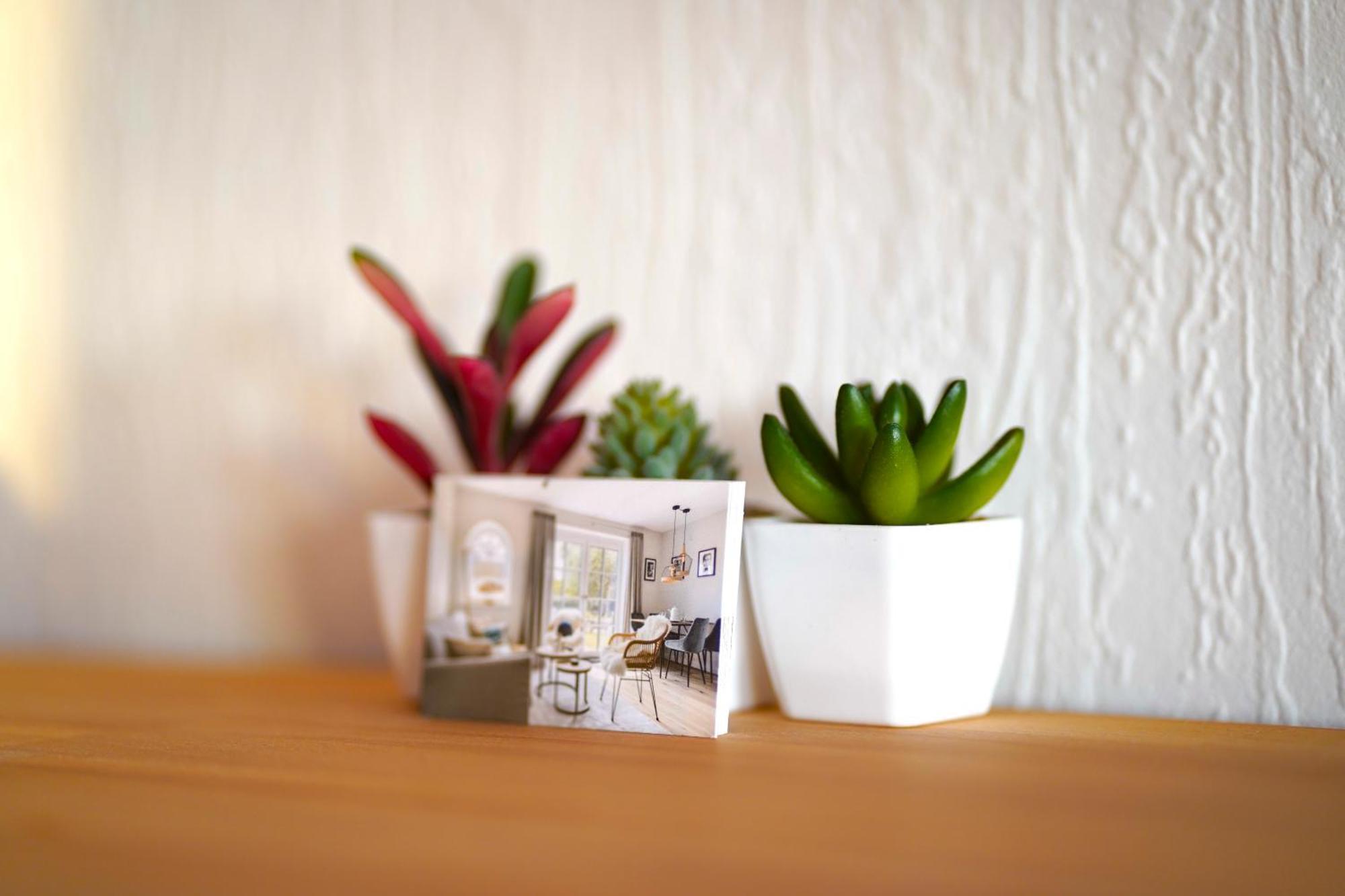 Grosse Ferienwohnung, Apartment In Leimen Wehome Komfort מראה חיצוני תמונה